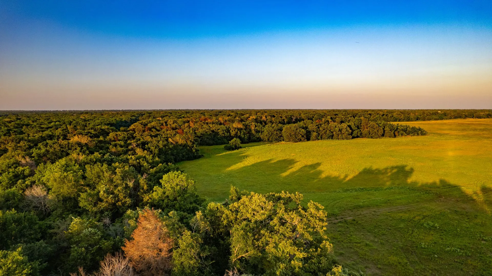 Iron Oak Reserve — 1–3 acre lots in Near College Station, TX